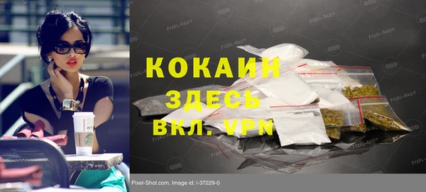 амф Липки