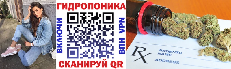Шишки марихуана индика  продажа наркотиков  Талдом 